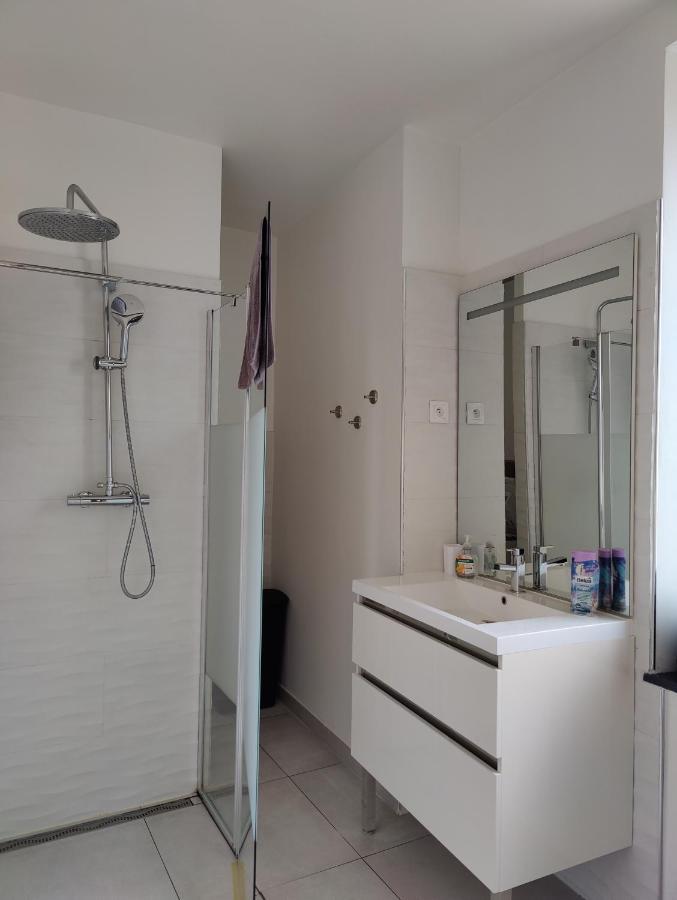 Le Purple, Appartement De Standing En Hypercentre Sarreguemines Zewnętrze zdjęcie