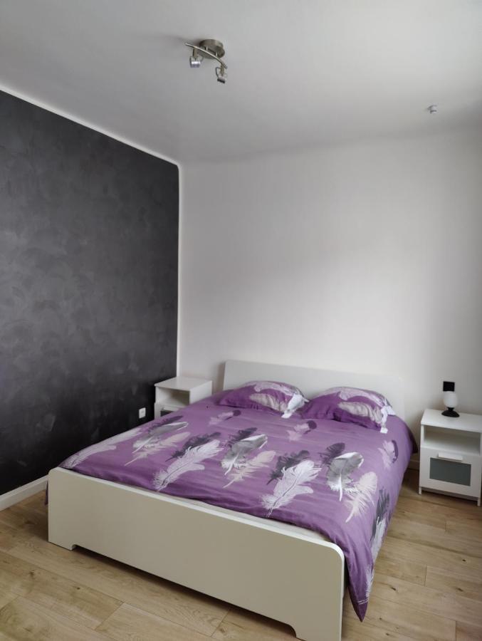 Le Purple, Appartement De Standing En Hypercentre Sarreguemines Zewnętrze zdjęcie